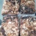精品羊杂牛杂熟牛杂半成品无肝无肺一件批发