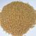 精品小麦大量供应现货直发欢迎各位老板选货
