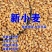 精品小麦大量供应现货直发欢迎各位老板选货