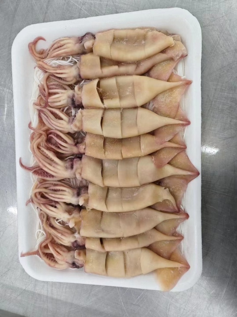 粉丝小鱿鱼