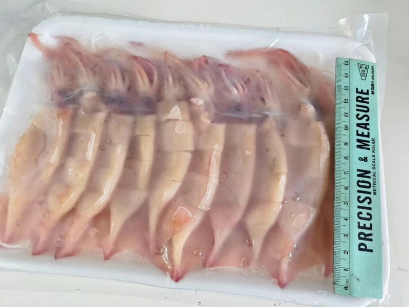 粉丝小鱿鱼