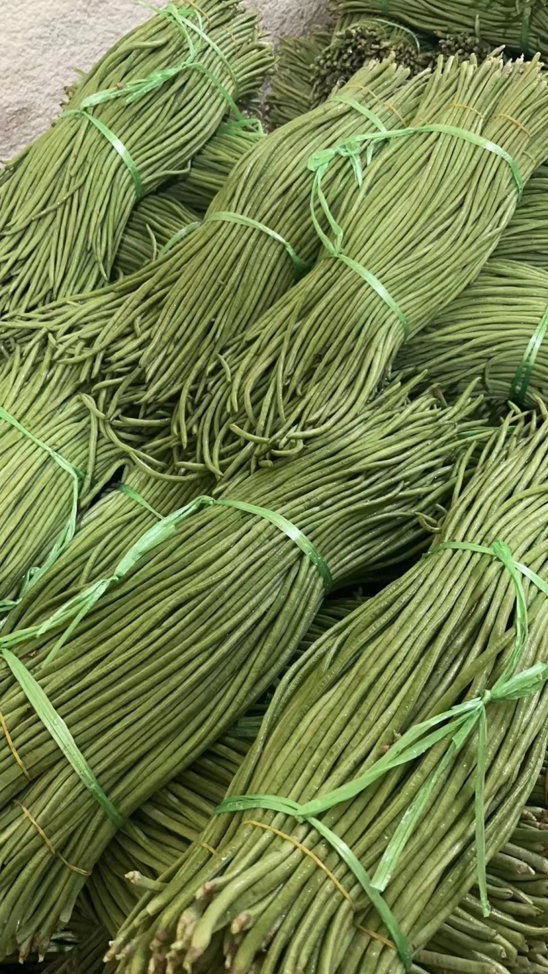 本地长豆角大量上市新鲜现摘翠绿无筋基地直供量大价优