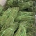 本地长豆角大量上市新鲜现摘翠绿无筋基地直供量大价优