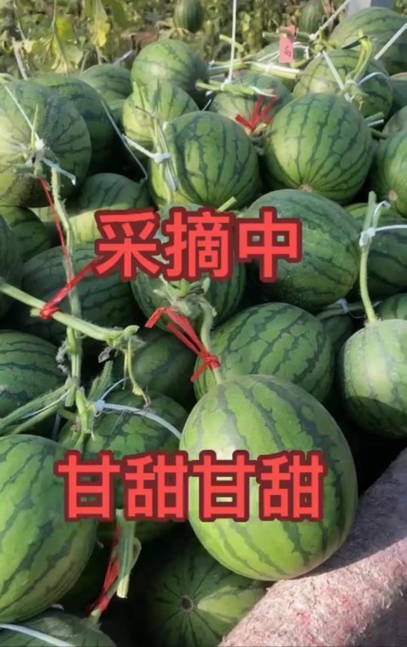 辽宁新民2k西瓜，产地发货，品质保证包熟包甜全国代发