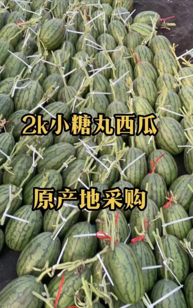 辽宁新民2k西瓜，产地发货，品质保证包熟包甜全国代发