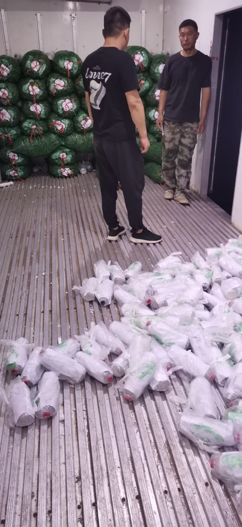 青豌豆，豌豆，镰刀湾，