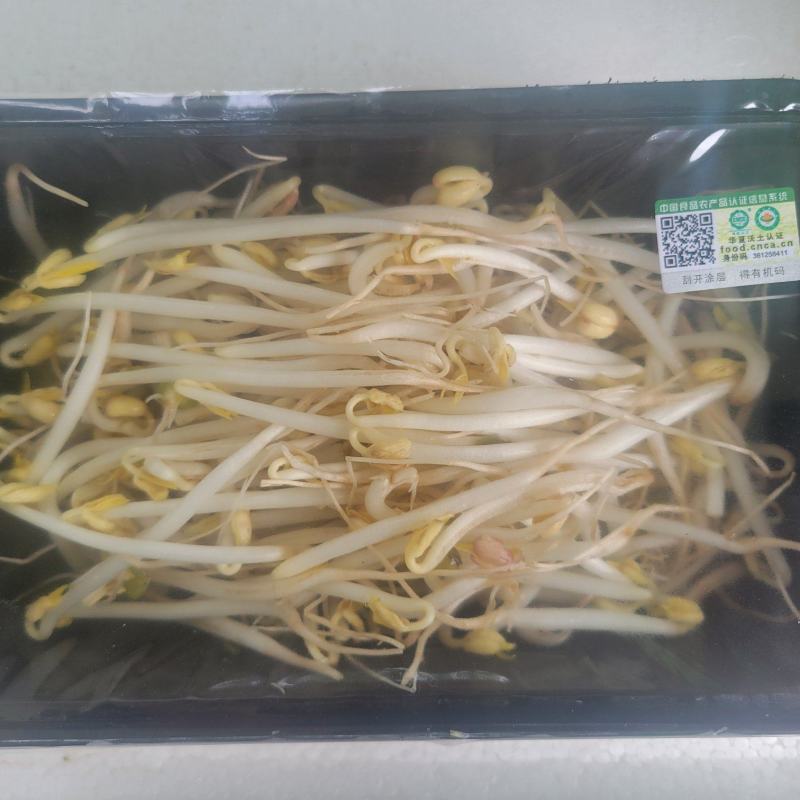 有机绿豆芽