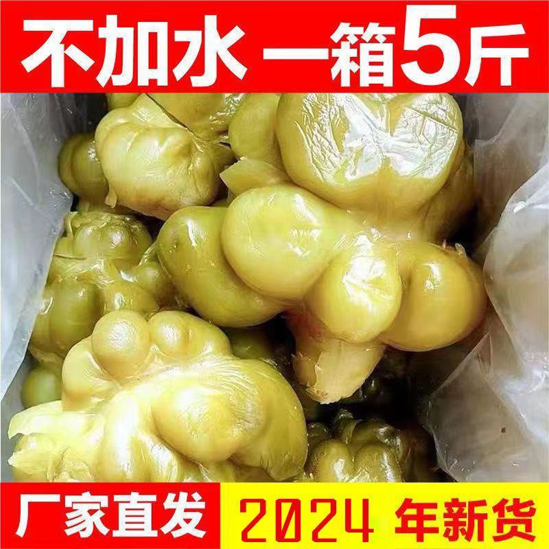 【泡菜】【榨菜头新鲜】涪陵榨菜头全形整颗榨菜整箱包邮