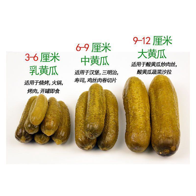【酸黄瓜】喀秋莎俄式酸黄瓜罐头瓶装330g/670g腌制