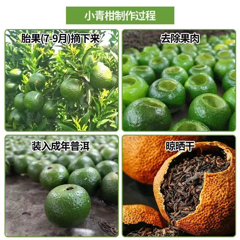 红柠檬头接新会柑苗陈皮柑