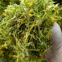 金银花产地直发品质保证价格优惠欢迎下单也可以来电