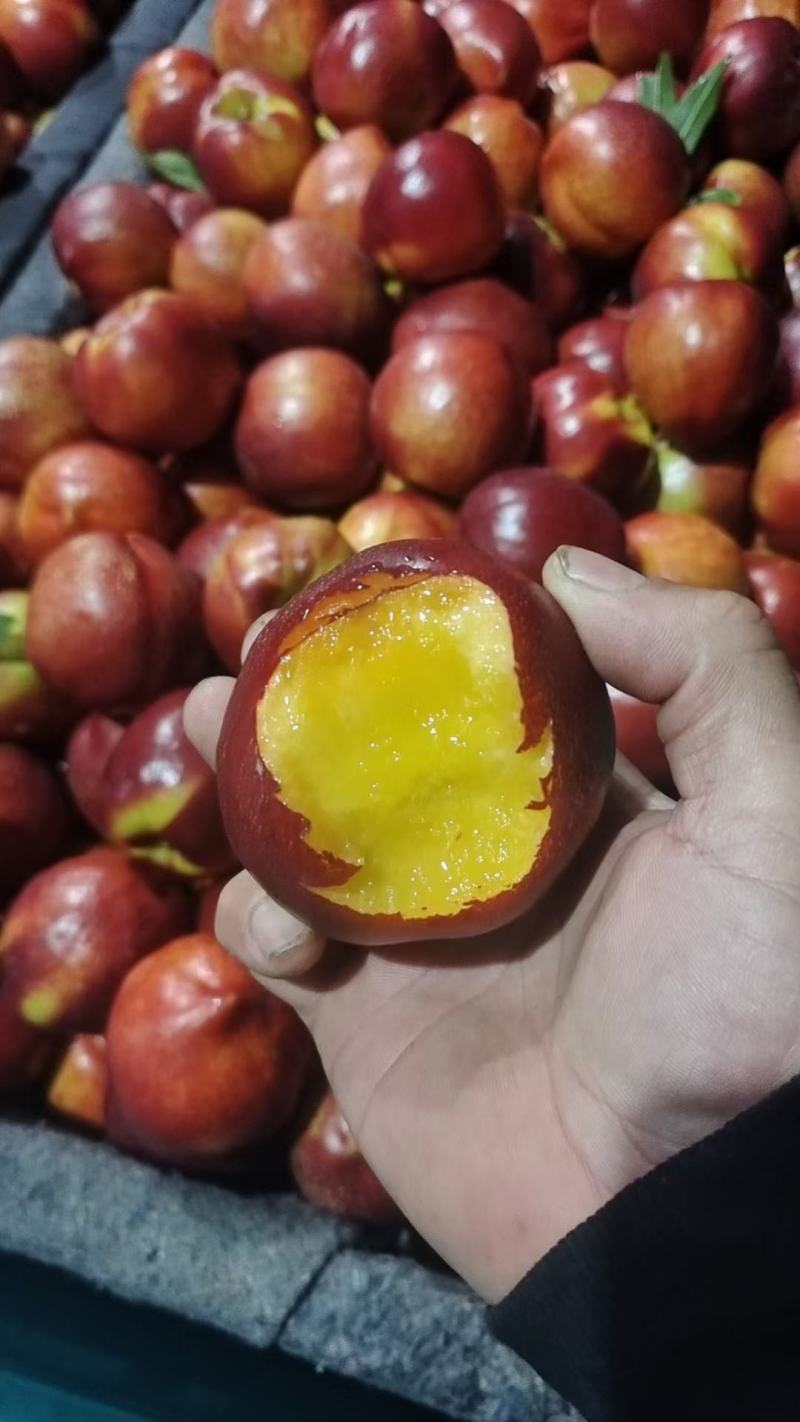 油桃大量上市，价格优惠