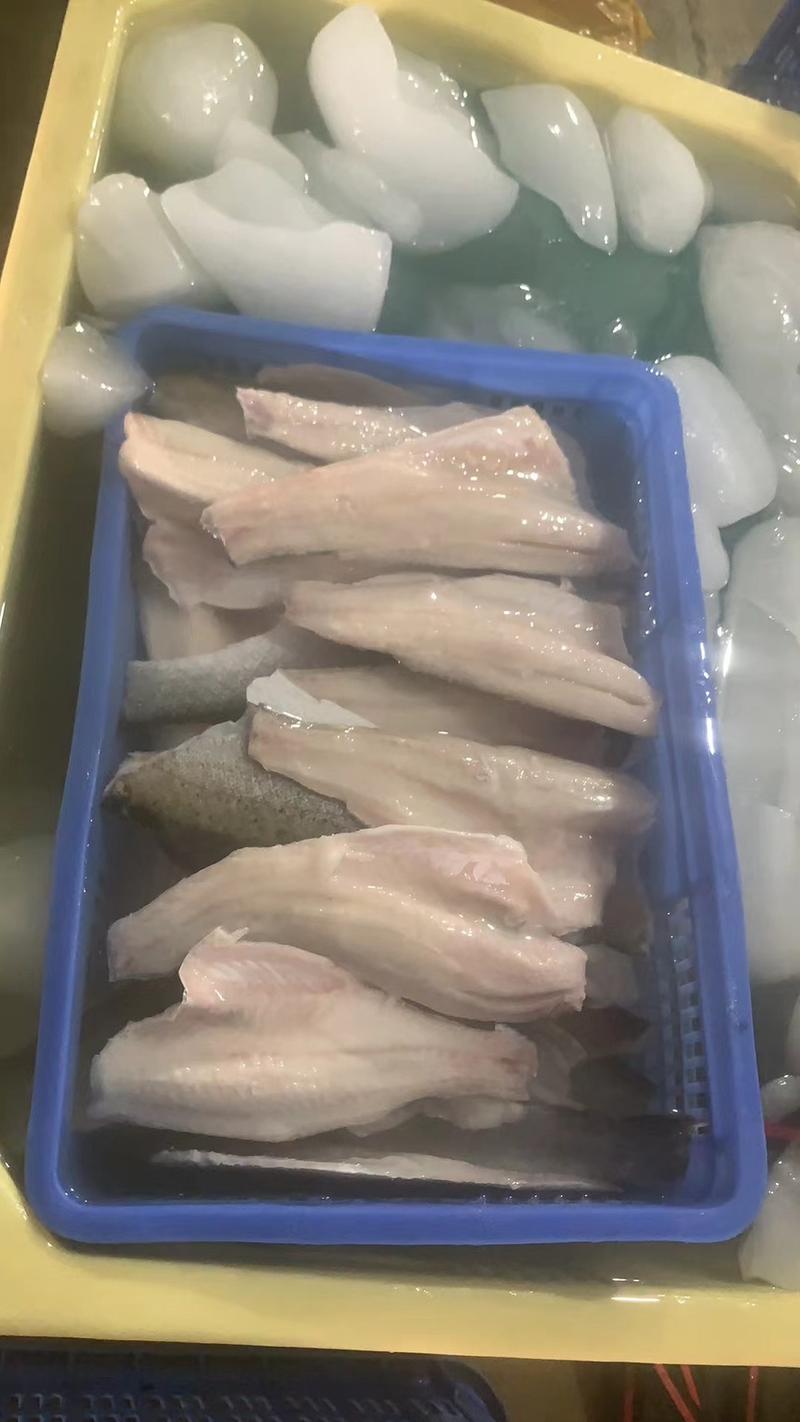 鱼柳加工供应各种规格黑鱼柳黑鱼片鲈鱼柳，巴沙柳罗非柳