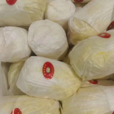 娃娃菜-兰州高原夏菜精品娃娃菜,货源充足,欢迎电话联系