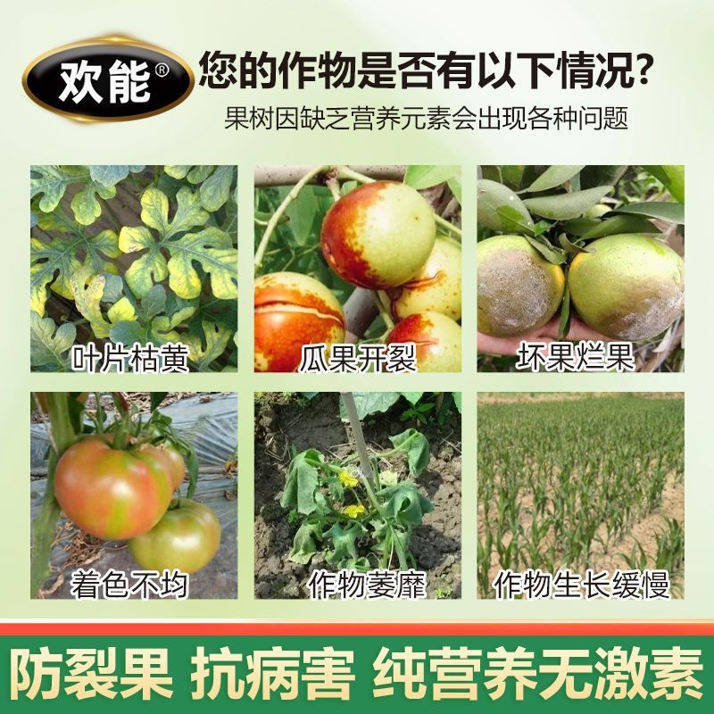 欢能海藻鱼蛋白水溶肥壮根膨果有机桶装生根剂肥料20公斤冲