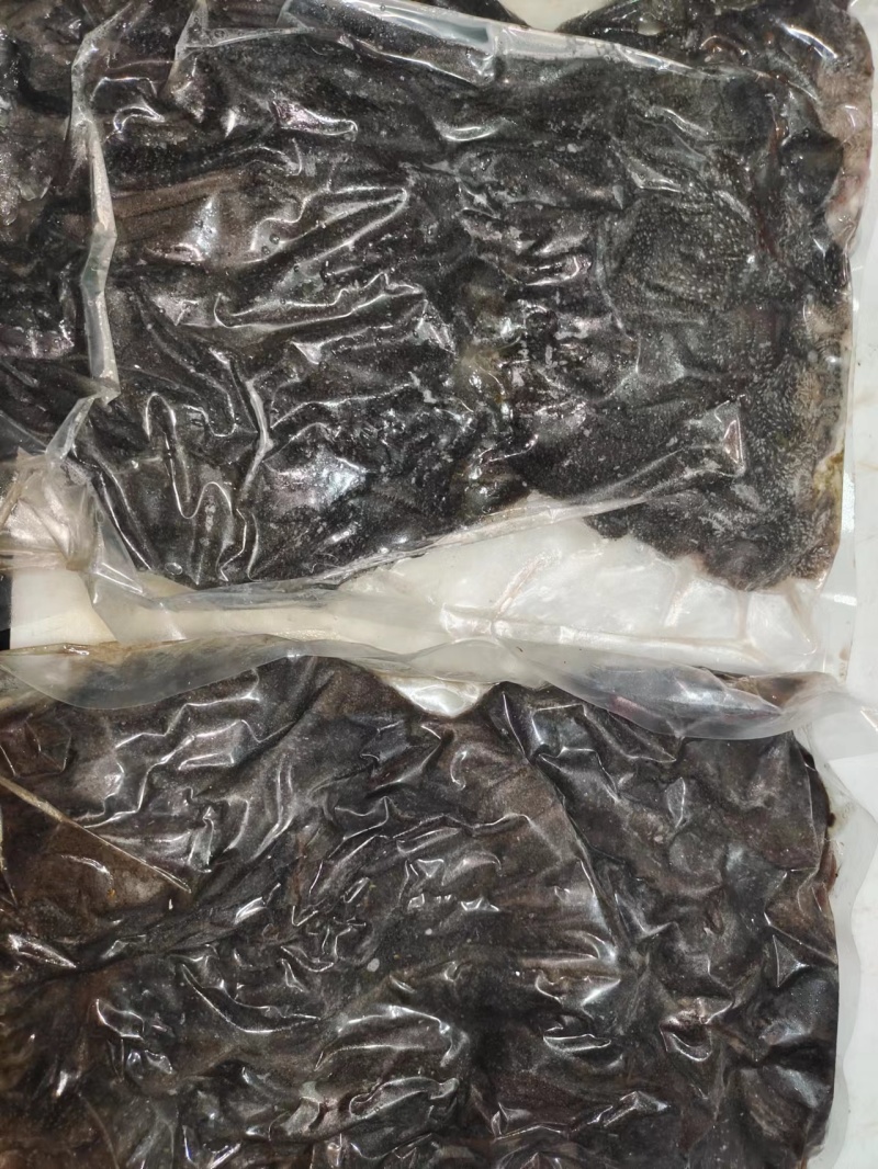 鲜毛肚，火锅食材纯干无油，牛百叶，欢迎进店选购