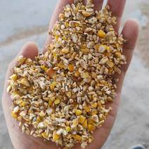 辽宁地区碎玉米无土无沙