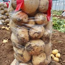 土豆，黄心土豆3两以上起步，全国代办价格便宜