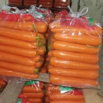 外贸出口胡萝卜开始喽。寿光本地胡萝卜开始水洗。