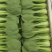油菜上海青小油菜产地一手货源品质保证实常年供应