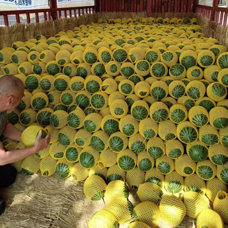 西瓜/无籽小吊瓜/手撕瓜小糖丸/2k产地直销大量现货