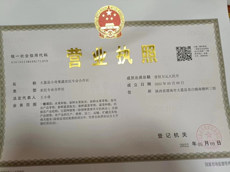 西瓜/无籽小吊瓜/手撕瓜小糖丸/2k产地直销大量现货