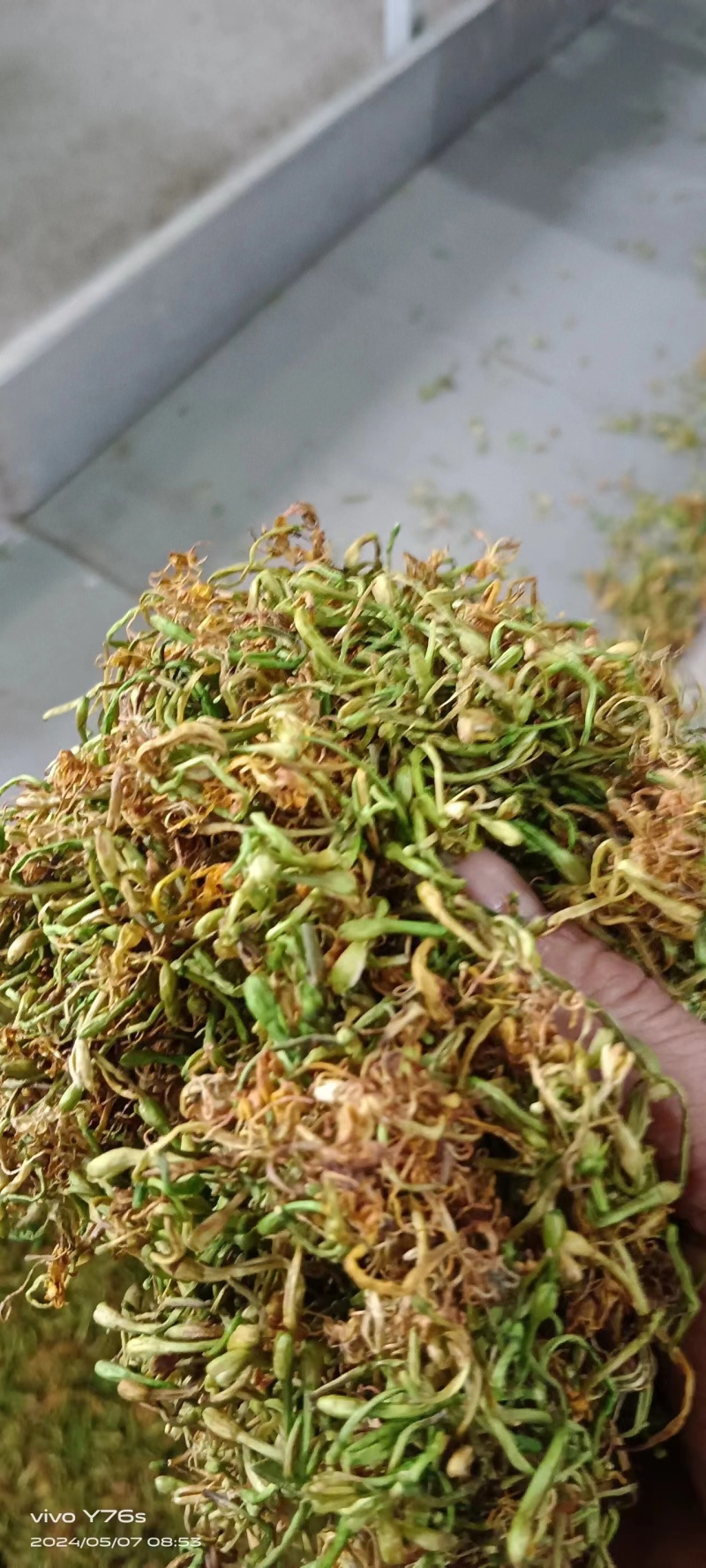 野生金银花，支持视频看货，烘干人工采摘，质量保证
