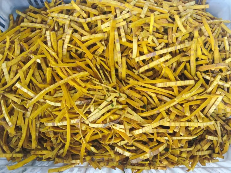 黄柏丝