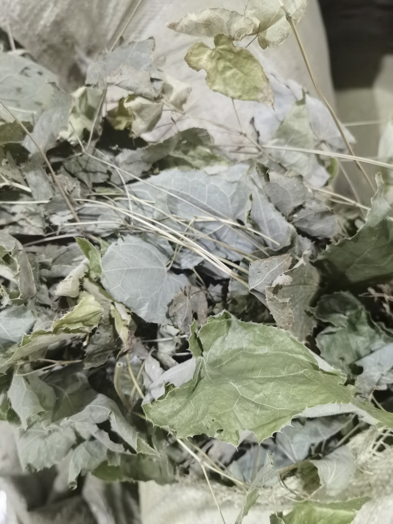 无根淫羊藿，颜色青。品质如金，诚信为本。