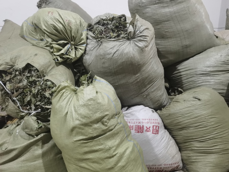 无根淫羊藿，颜色青。品质如金，诚信为本。