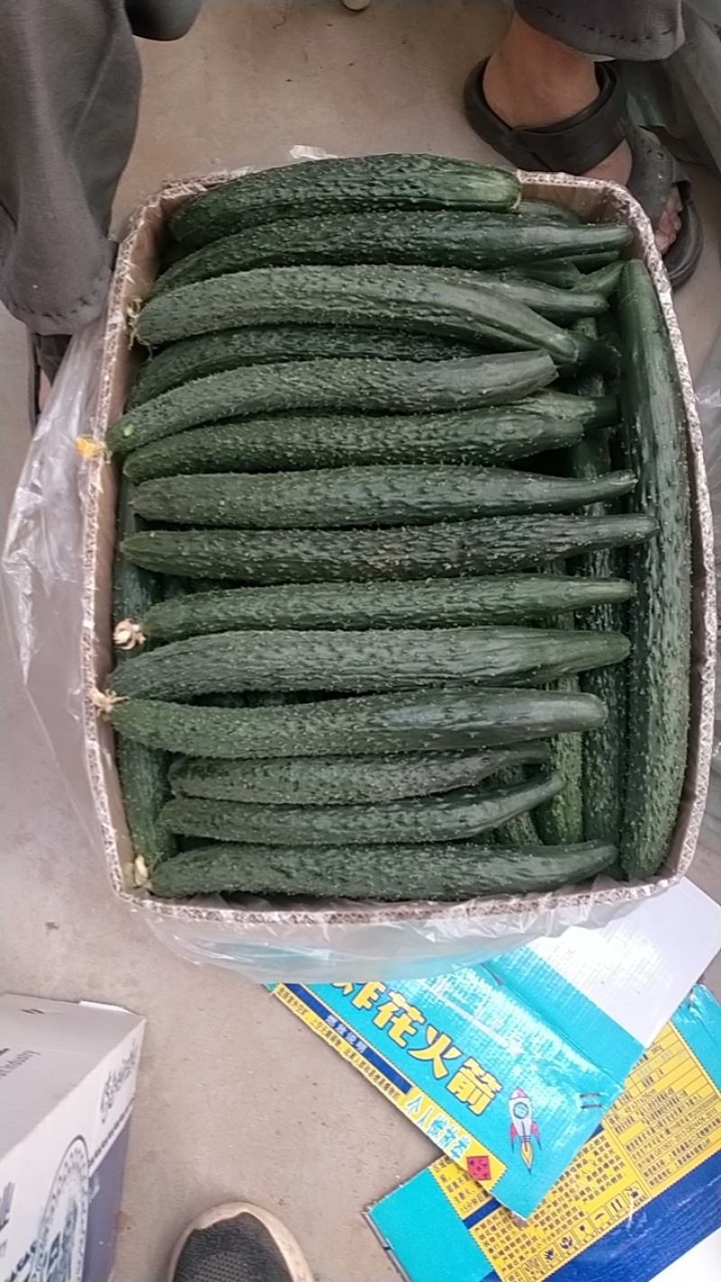 黄瓜大量有货要的联系