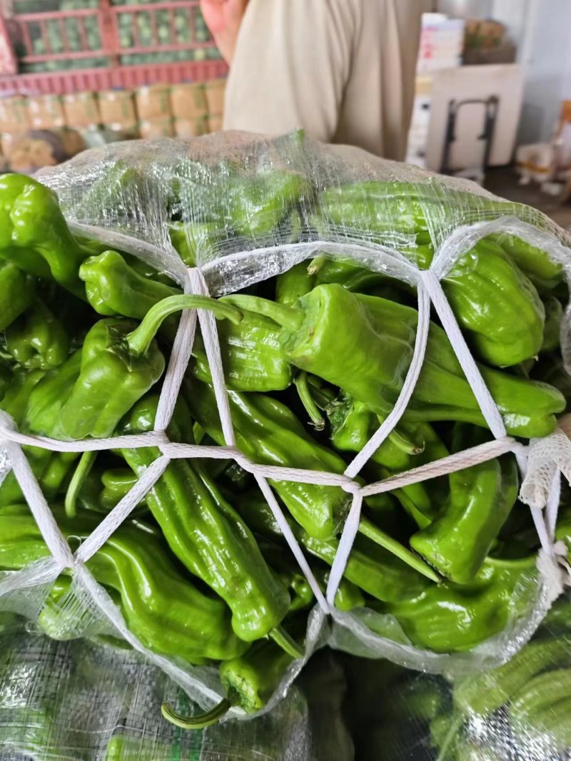 湖北精品薄皮青椒
