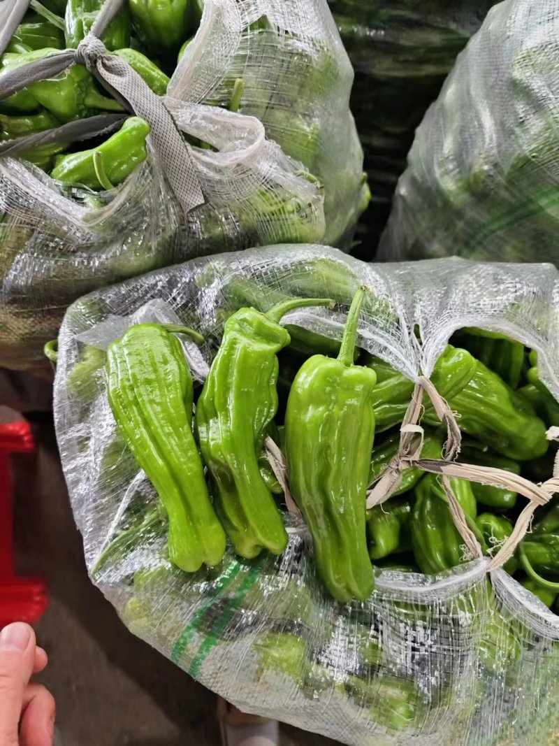 湖北精品薄皮青椒