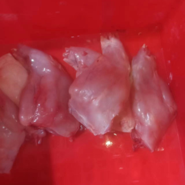 兔前后肉，厂家直销，大量有货，欢迎各位老板咨询