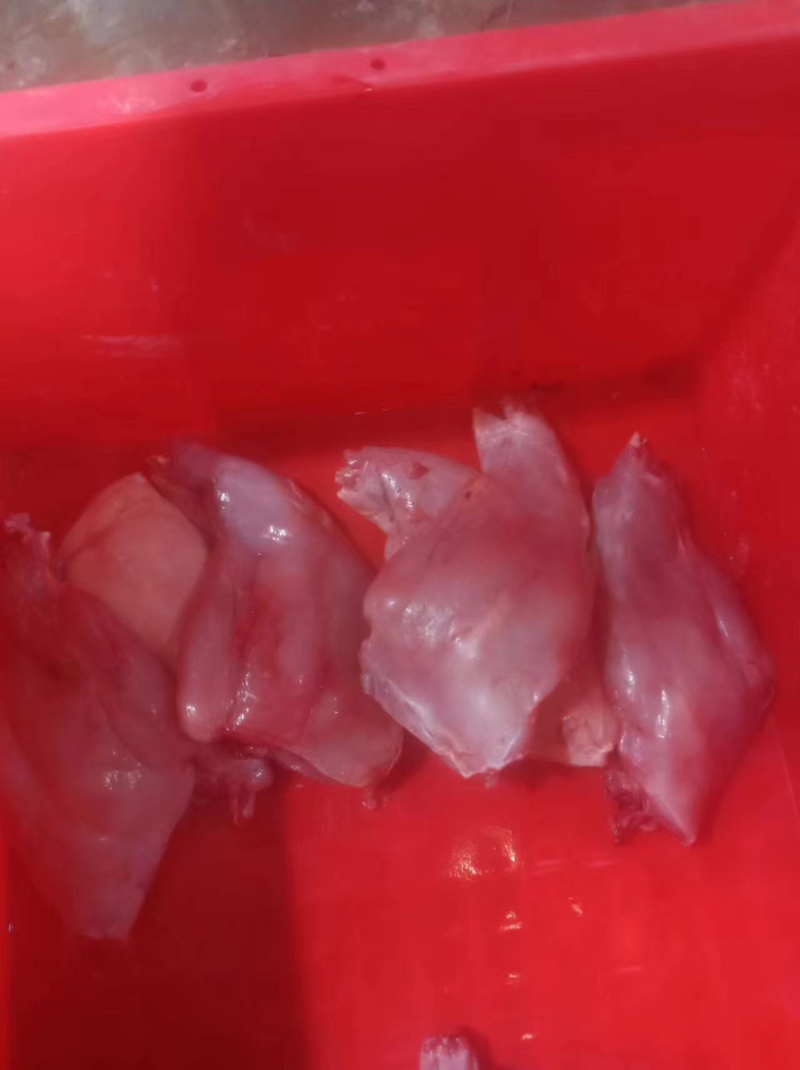 兔前后肉，厂家直销，大量有货，欢迎各位老板咨询