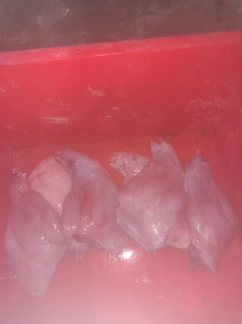 兔前后肉，厂家直销，大量有货，欢迎各位老板咨询