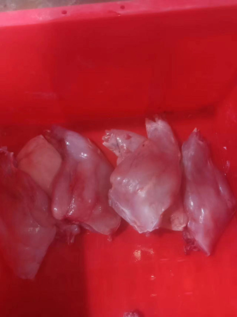 兔前后肉，厂家直销，大量有货，欢迎各位老板咨询