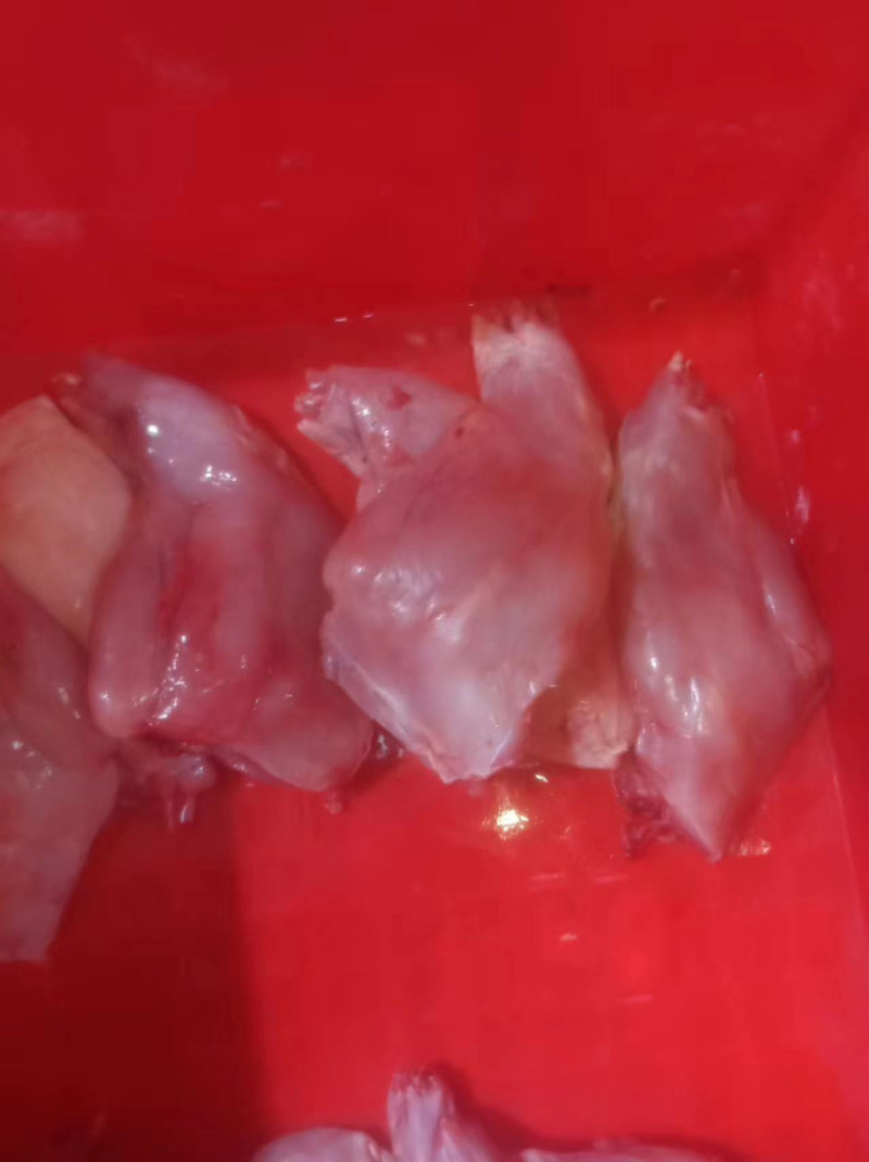 兔前后肉，厂家直销，大量有货，欢迎各位老板咨询