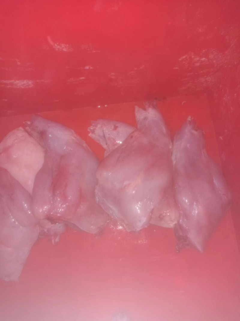 兔前后肉，厂家直销，大量有货，欢迎各位老板咨询