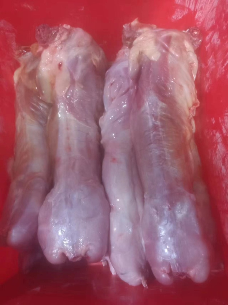 新鲜剥皮速冻兔肉，大量有货，欢迎咨询采购