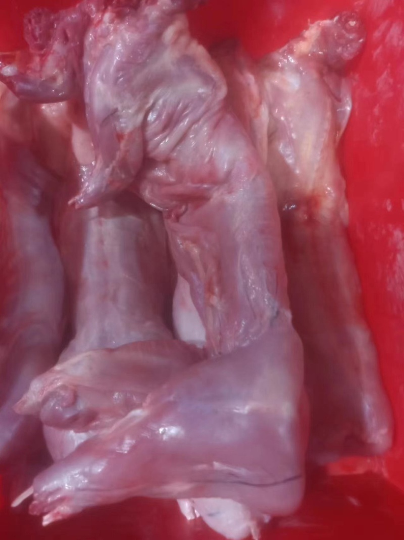 新鲜剥皮速冻兔肉，大量有货，欢迎咨询采购