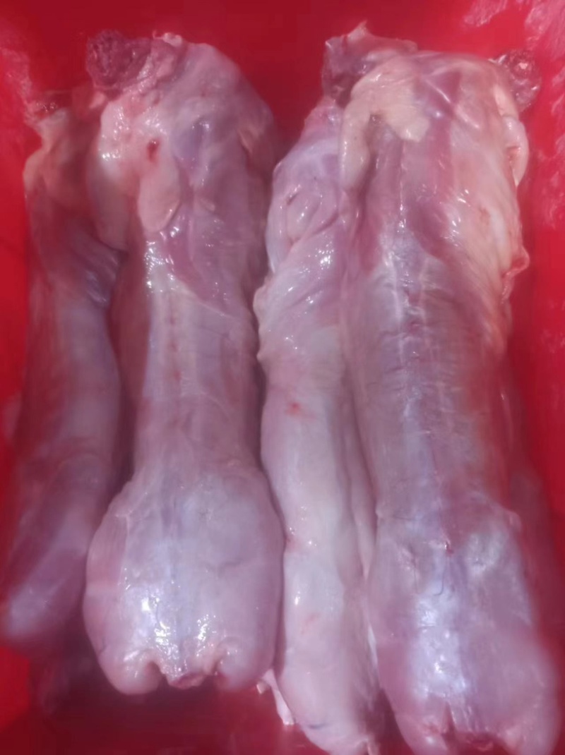 新鲜剥皮速冻兔肉，大量有货，欢迎咨询采购