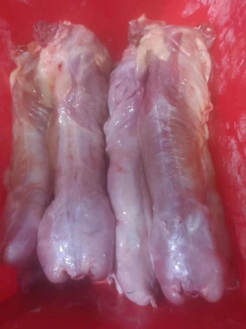 新鲜剥皮速冻兔肉，大量有货，欢迎咨询采购