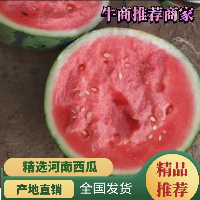 河南美都西瓜产地直发电商一手货源质量保证量大价优欢迎致电
