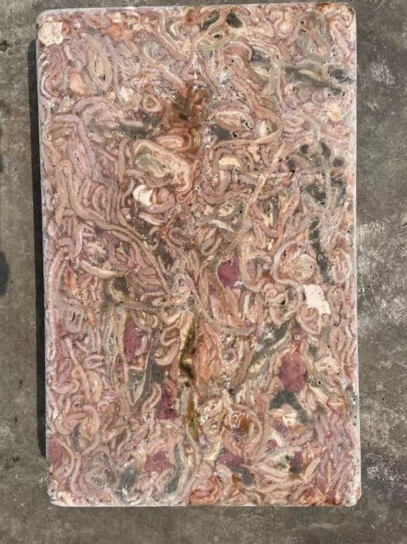817鸡肠（净肠）
