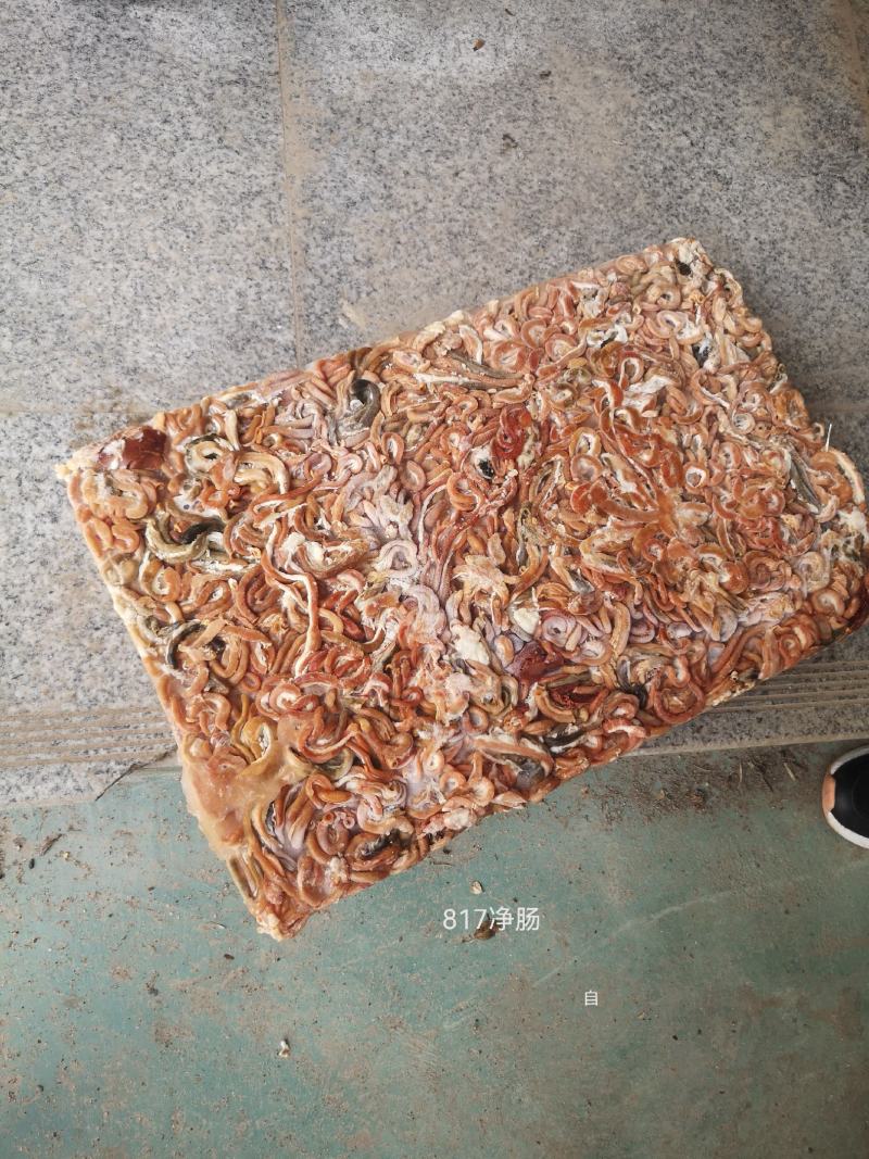 817鸡肠（净肠）
