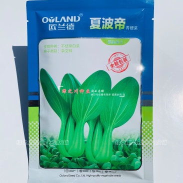 夏波帝夏秋季青梗菜种子抗热翠绿发亮青菜种籽耐高温耐湿四季菜籽