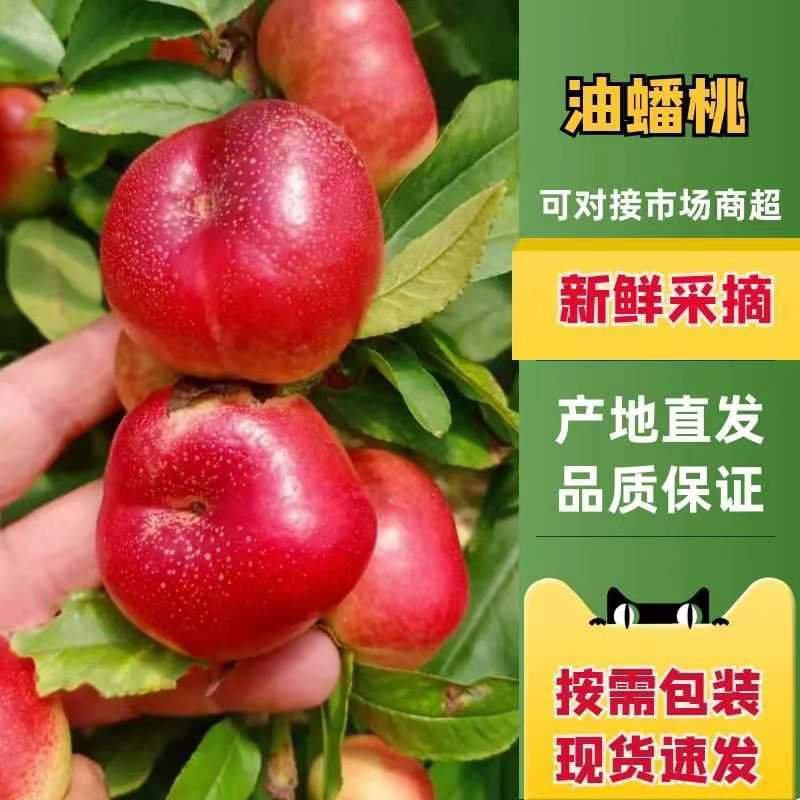 【荐】大棚油蟠桃热卖钮扣油蟠桃价格，油蟠桃甜度高，耐运输