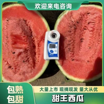 陕西直播苗花皮无籽西瓜10斤打底9成熟头茬