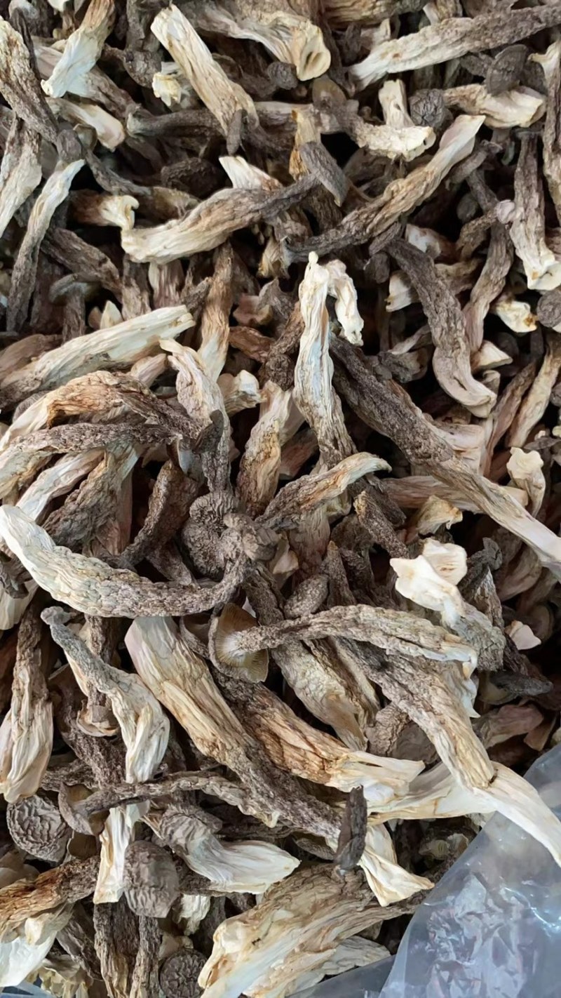 鹿茸菇中直条鹿茸菇鹿茸菇干品牌推广产地直发